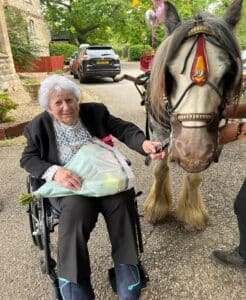 surprising a resident with horse